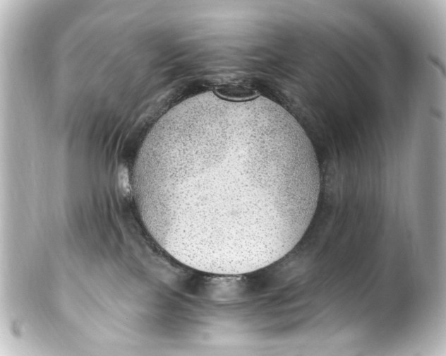 X0000101440089200807281032