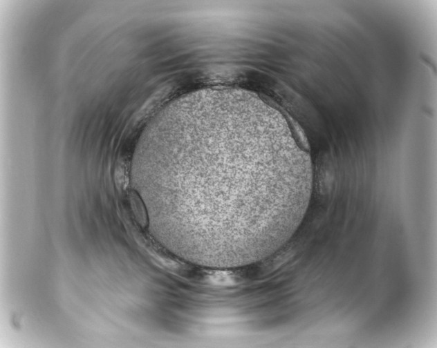 X0000101440091200807281032