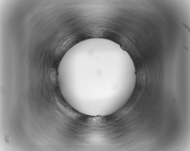 X0000101440092200807281032