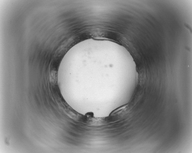 X0000101440093200807281032