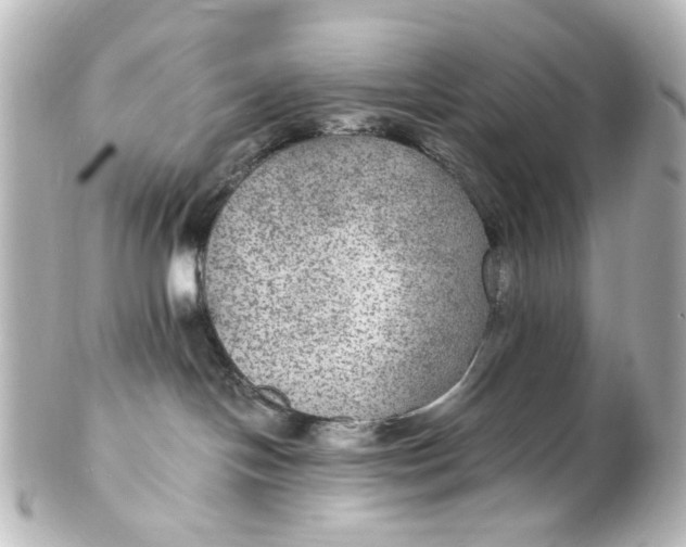 X0000101440094200807281032