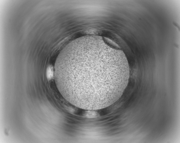 X0000101440095200807281032