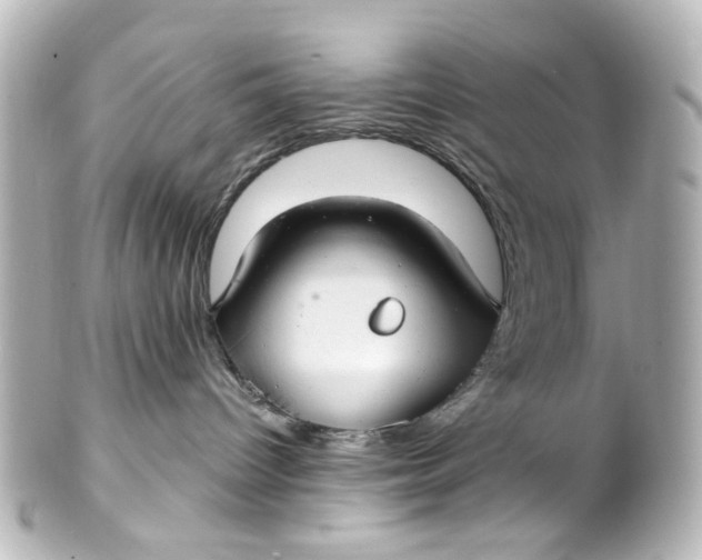 X0000101440096200807281032