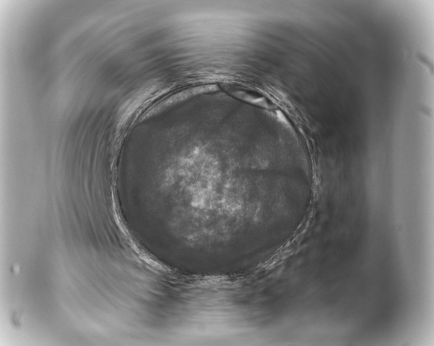 X0000101440097200807281031