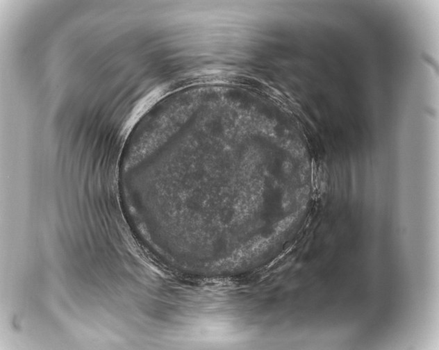 X0000101440099200807281031