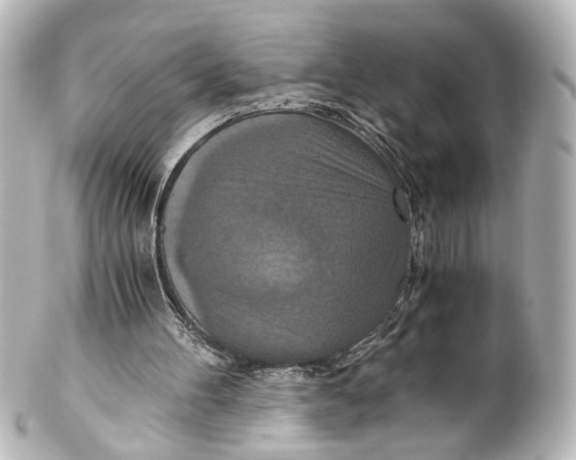 X0000101440100200807281031