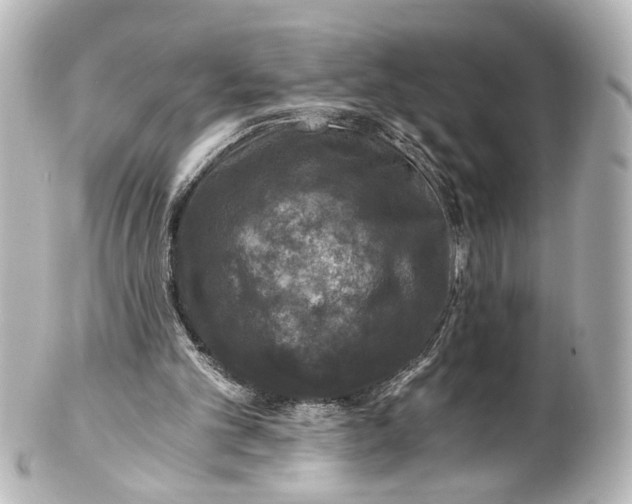 X0000101440101200807281031