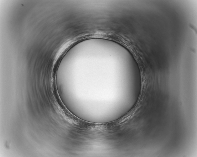 X0000101440102200807281031