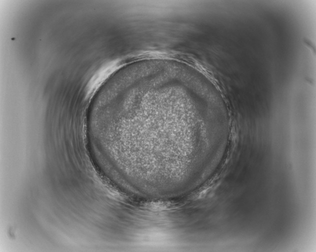 X0000101440103200807281031