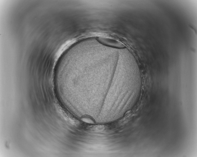 X0000101440104200807281031