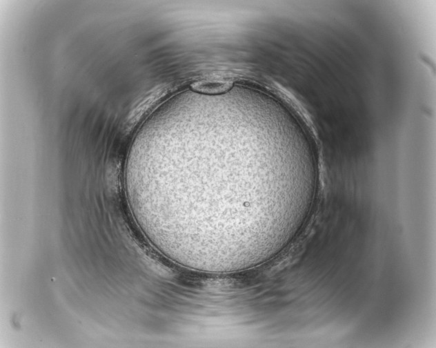 X0000101440105200807281031