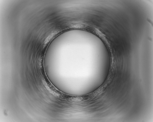 X0000101440106200807281031