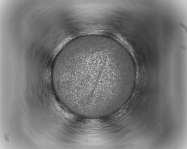 X0000101440107200807281031