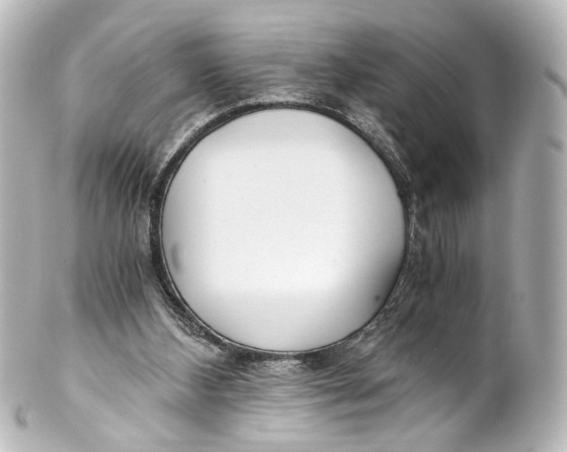 X0000101440108200807281031