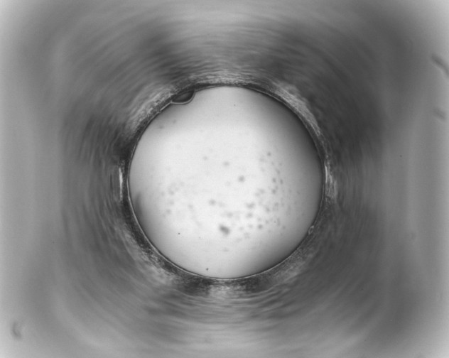 X0000101440109200807281031