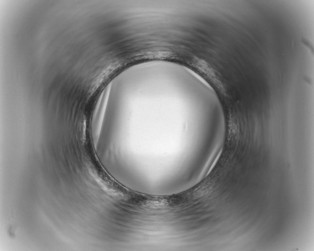 X0000101440110200807281031