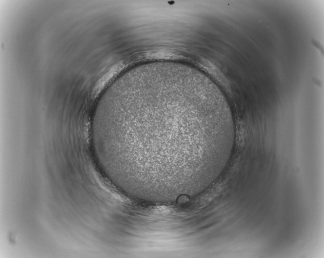 X0000101440111200807281031