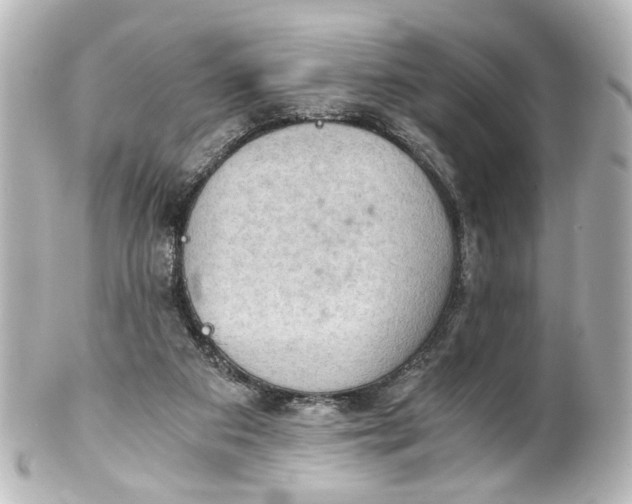 X0000101440113200807281031