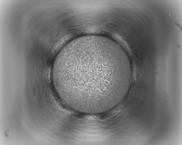 X0000101440115200807281031