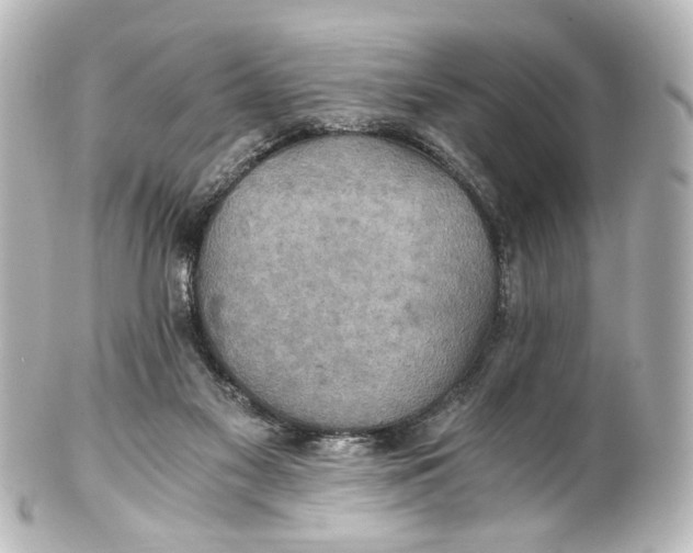 X0000101440117200807281031