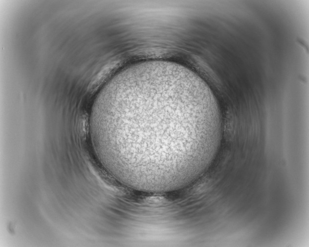 X0000101440119200807281031