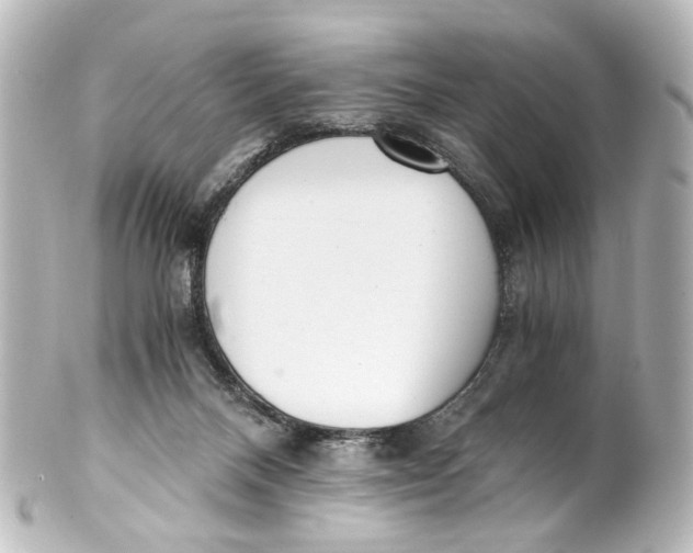 X0000101440120200807281031