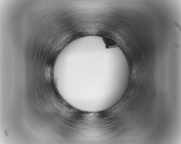 X0000101440122200807281031