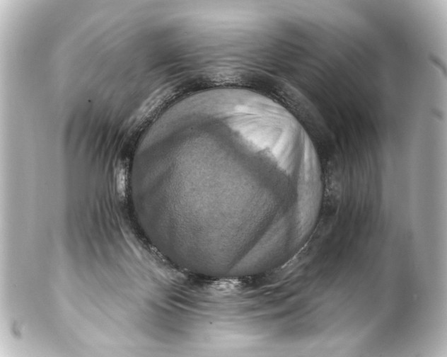 X0000101440124200807281031