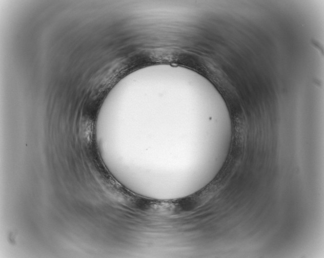 X0000101440125200807281031