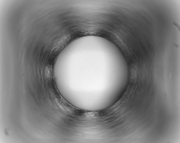 X0000101440126200807281031