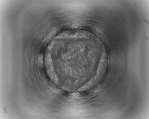 X0000101440127200807281031