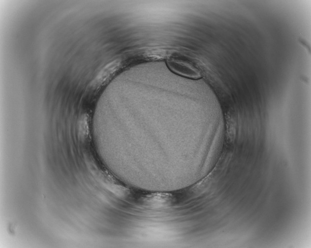 X0000101440128200807281031