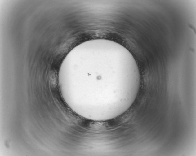 X0000101440129200807281031