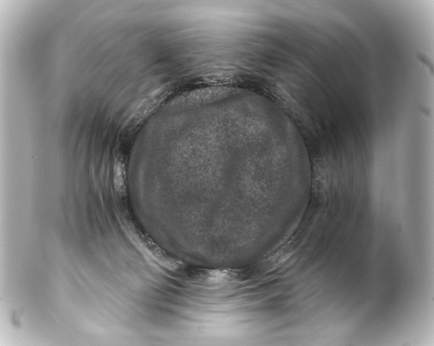 X0000101440130200807281031