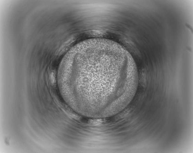 X0000101440131200807281031