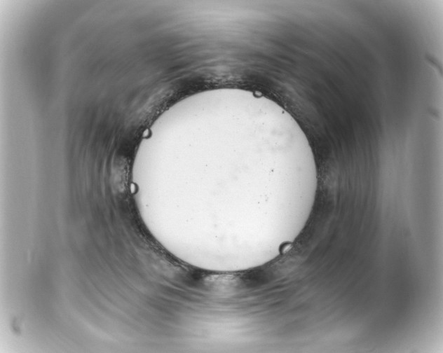 X0000101440133200807281031