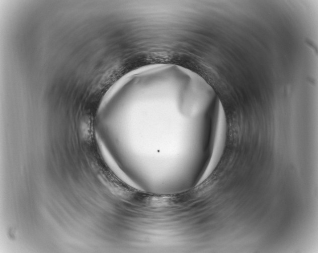 X0000101440134200807281031