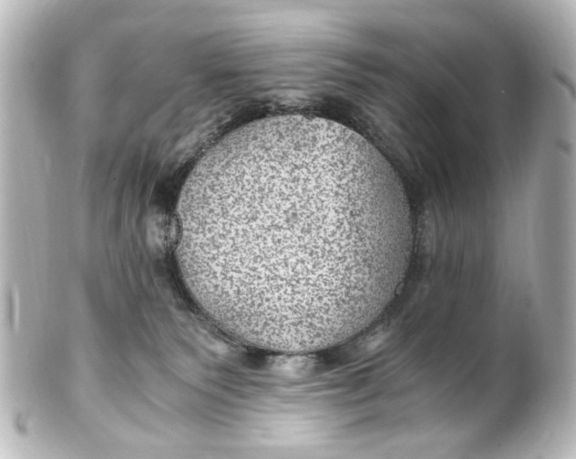 X0000101440135200807281031