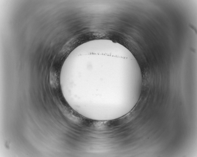 X0000101440136200807281031