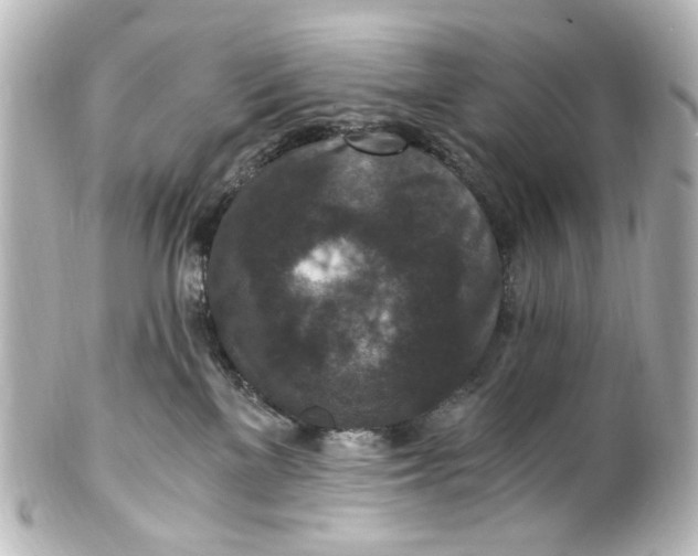 X0000101440137200807281031