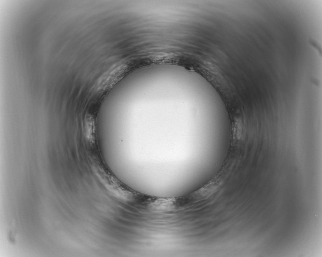 X0000101440138200807281031