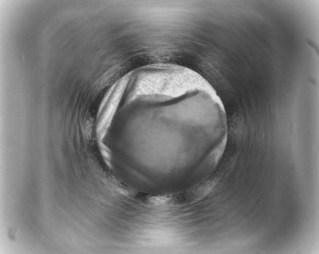 X0000101440139200807281031