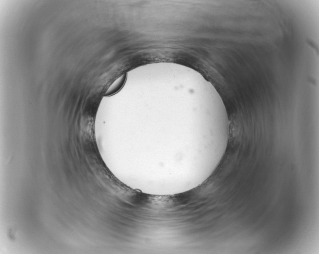 X0000101440141200807281031