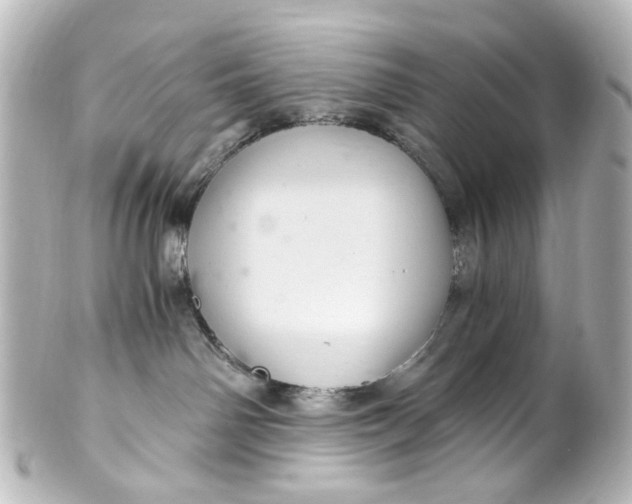 X0000101440142200807281031