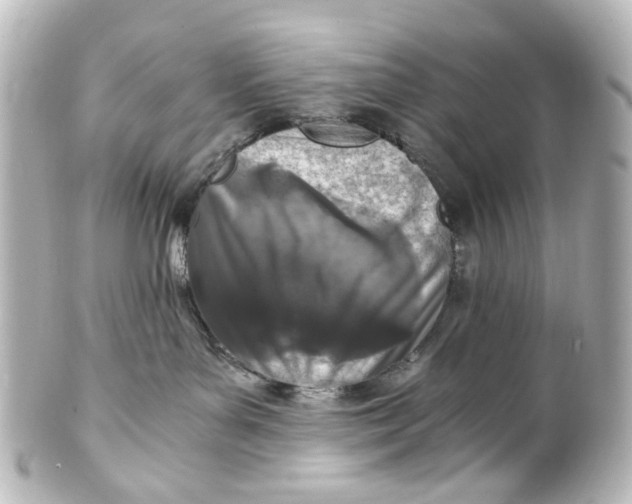 X0000101440143200807281031