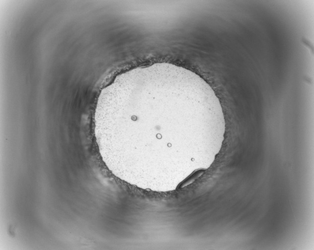 X0000101440144200807281031