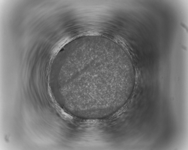 X0000101440145200807281030