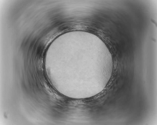 X0000101440146200807281030