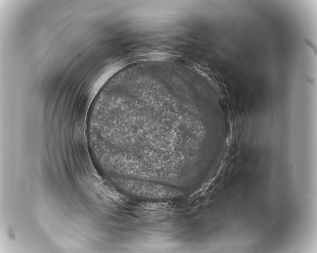 X0000101440147200807281030