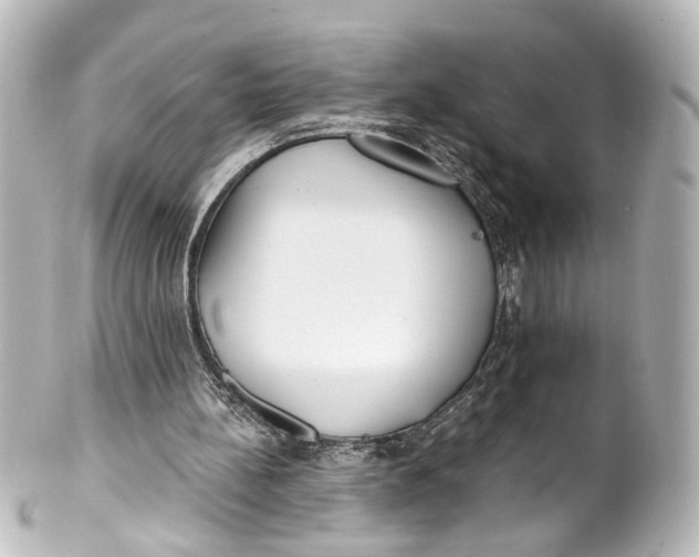 X0000101440148200807281030